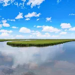 1876 Turtle Dunes Amelia Island Plantation
