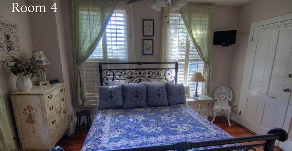 Villa Florida House *